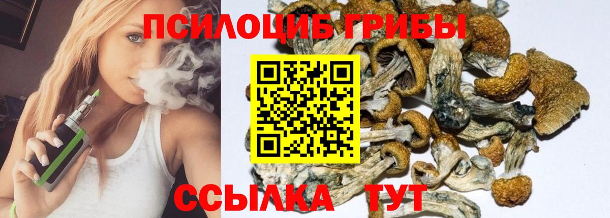 Галлюциногенные грибы Psilocybine cubensis  Вход с VPN  цены   Кириши 